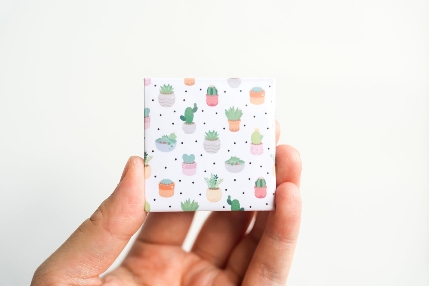 Raining Succulents