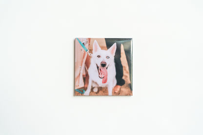 2"x2" Custom Photo Magnets