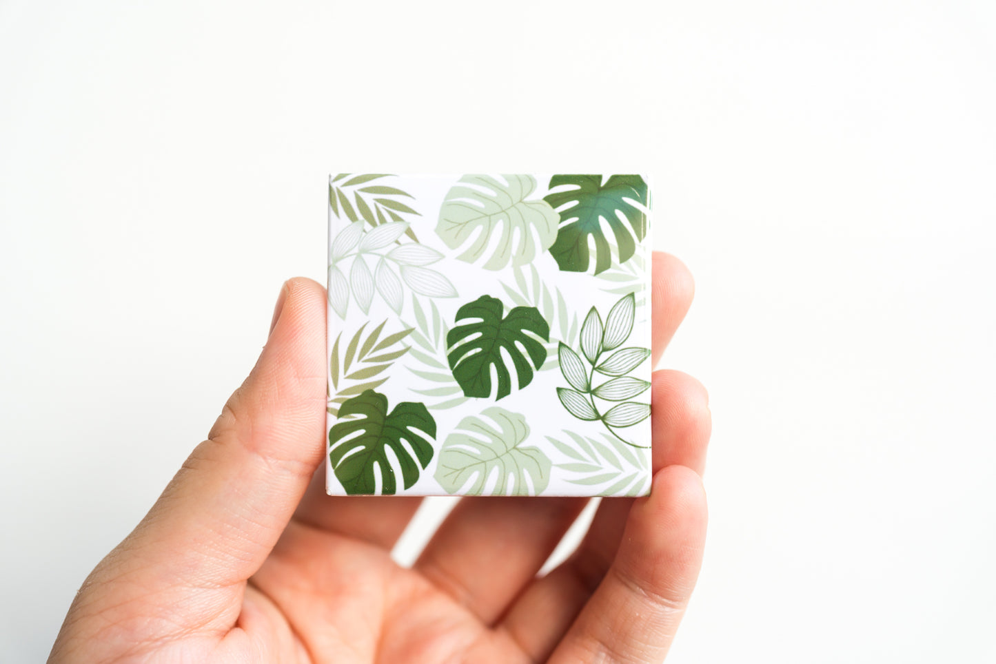 Monstera Leaves