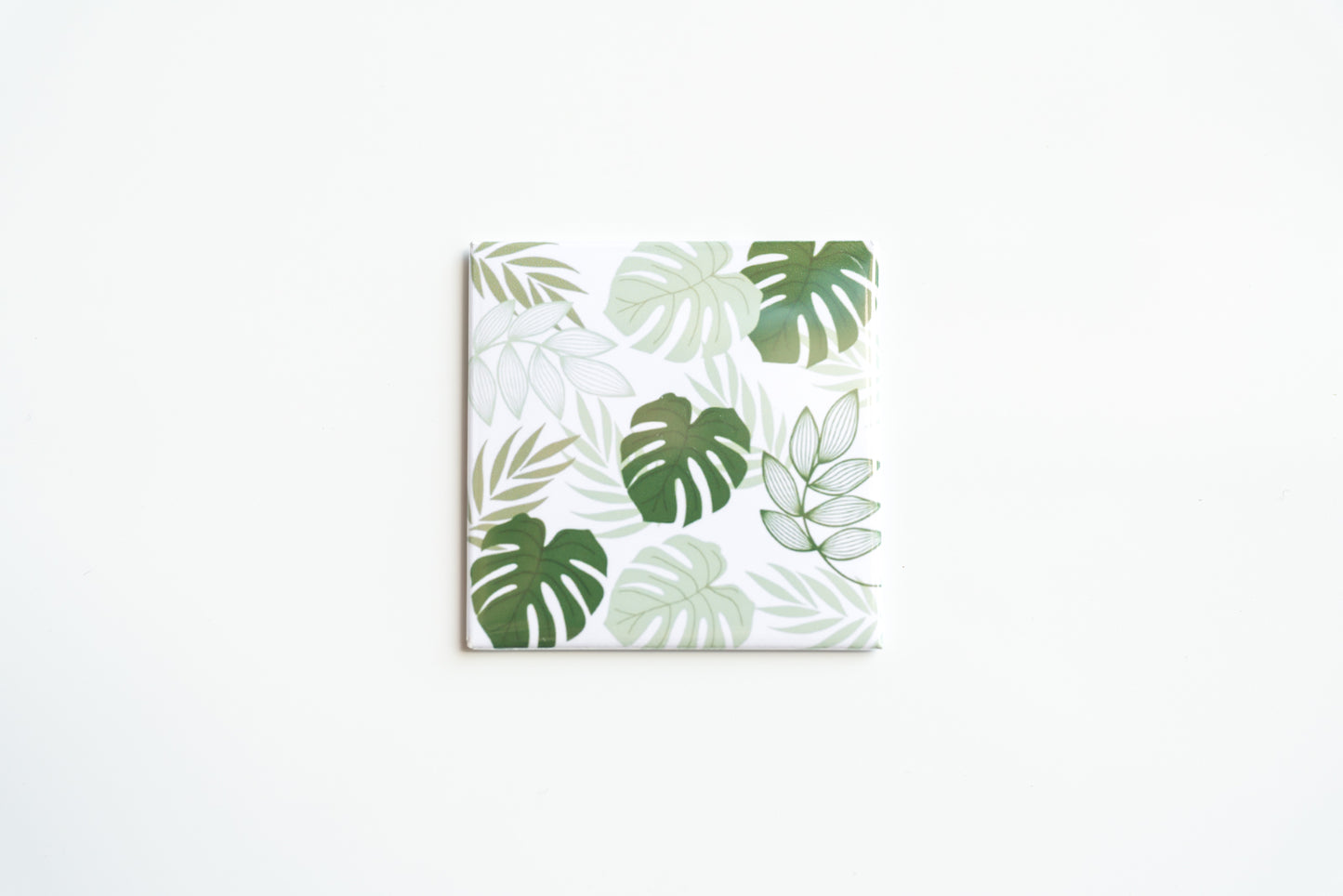 Monstera Leaves