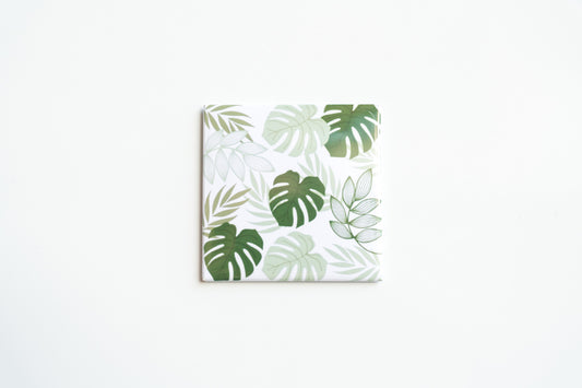 Monstera Leaves