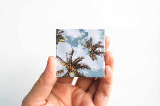 Palm Trees in the Sky