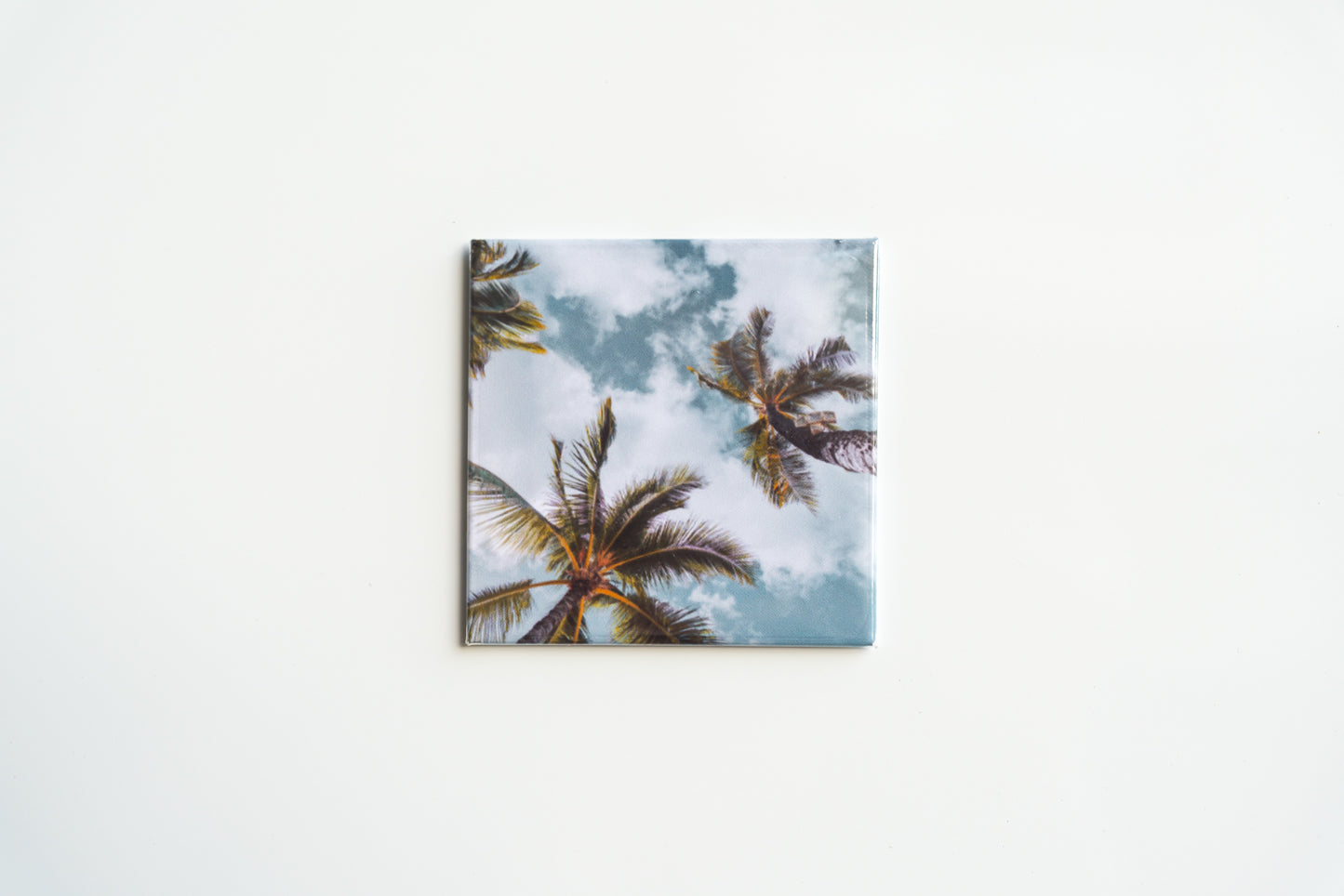 Palm Trees in the Sky
